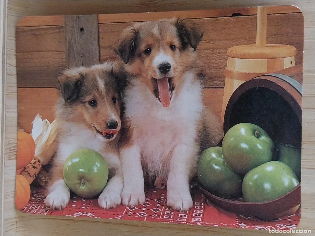 Coleccionismo Calendarios: PERROS MANZANAS CALENDARIO 2002 PUBLI ELECTRICIDAD FEDOMI MADRID REF BO.574