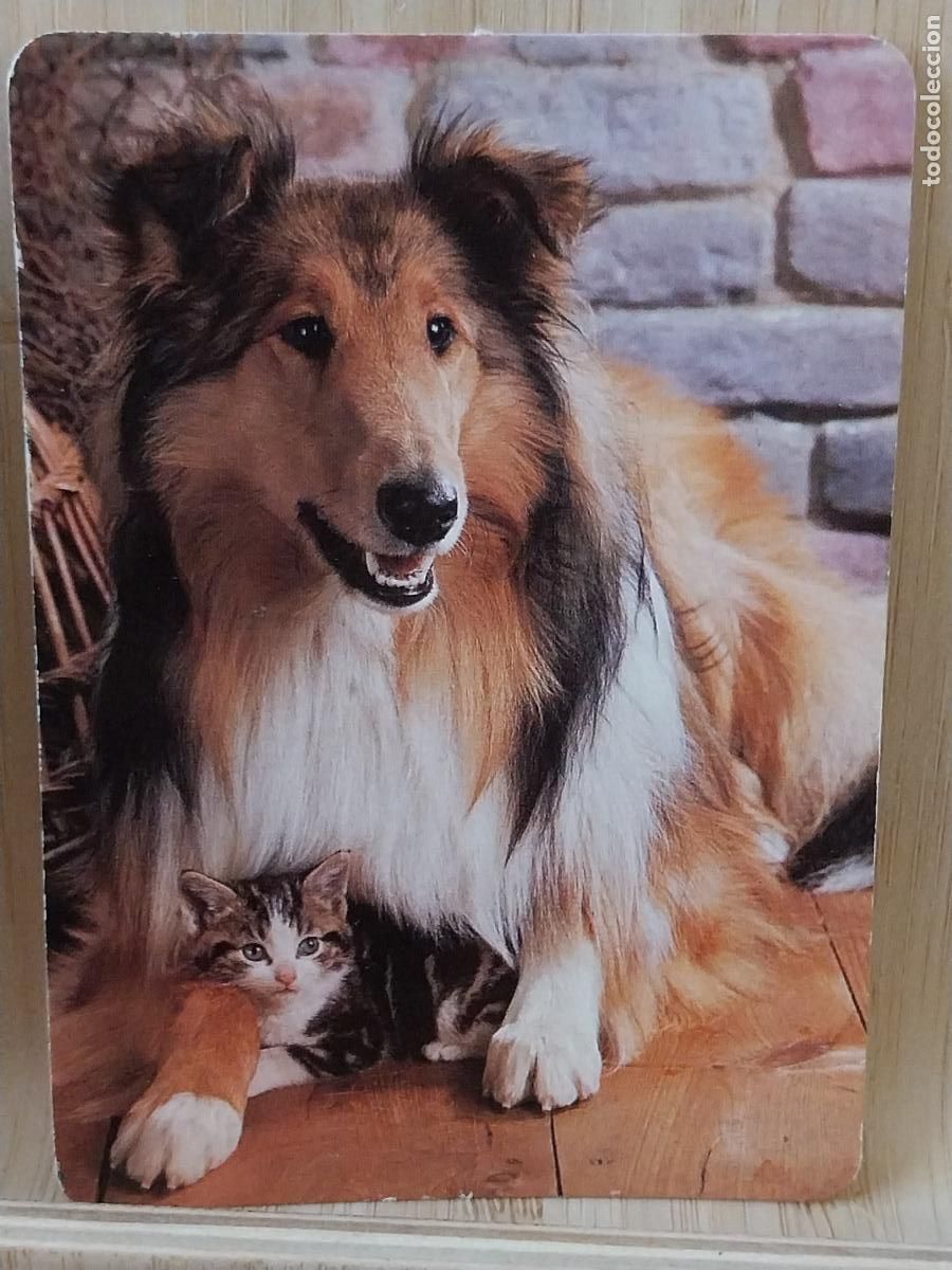 Coleccionismo Calendarios: PERRO GATO ILUSTRACION CALENDARIO 1992 PUBLI SANITEC DESINFECCION REF B0.5600