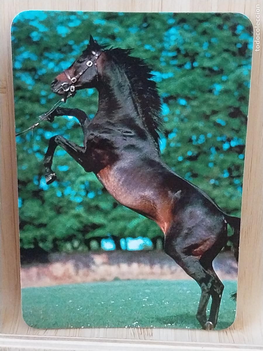 Coleccionismo Calendarios: CABALLO RAMPANTE CALENDARIO 1989 PUBLI REGALOS MAYTE MADRID REF ANRO 76
