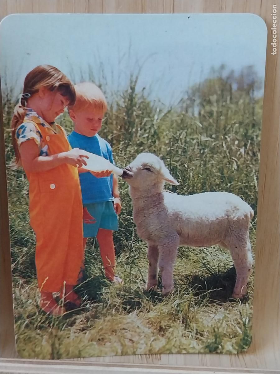 Coleccionismo Calendarios: NI&Ntilde;OS CORDERO CALENDARIO 1995 PUBLI PELUQUERIA IRIS GOMEZ AVELLANEDA RE BO.5064