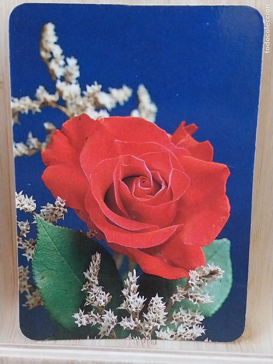 Coleccionismo Calendarios: FLORES CALENDARIO 1988 PUBLI REGALOS MAYTE REF ANRO 84