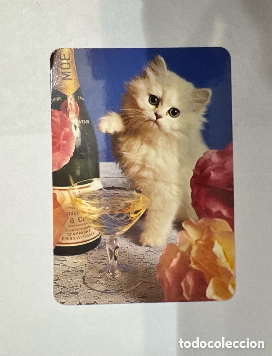 Coleccionismo Calendarios: Calendario publicitario, animales, gato, 2002