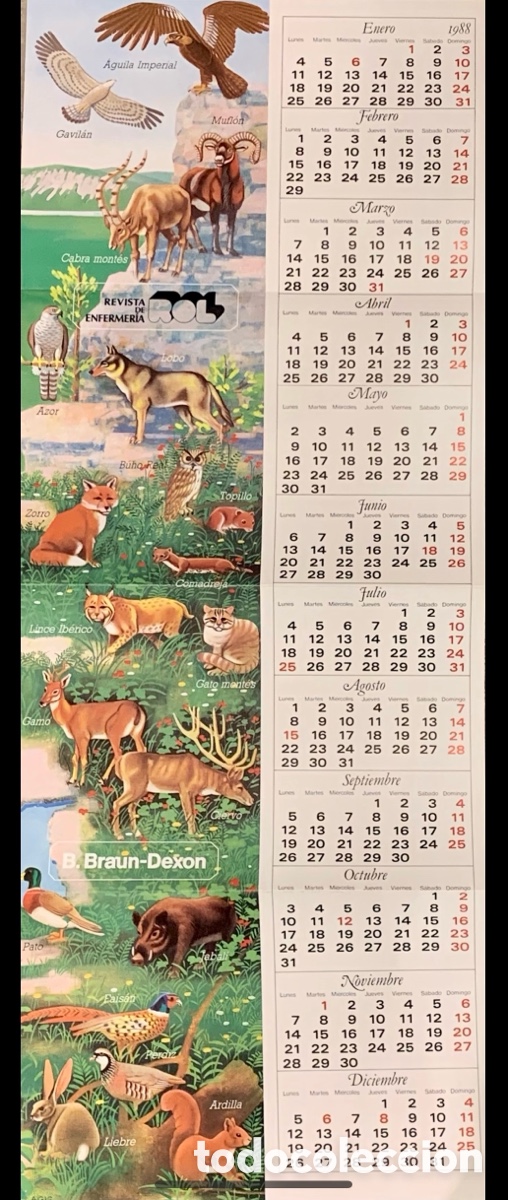 Coleccionismo Calendarios: Calendario. Revista ROL. Braun-Dexon. Agis. 1988.