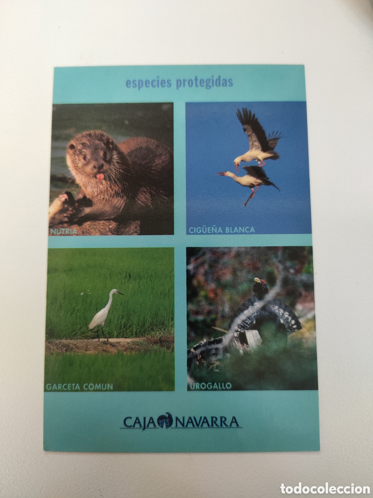 Coleccionismo Calendarios: Calendario Caja de Ahorros de Navarra 2001