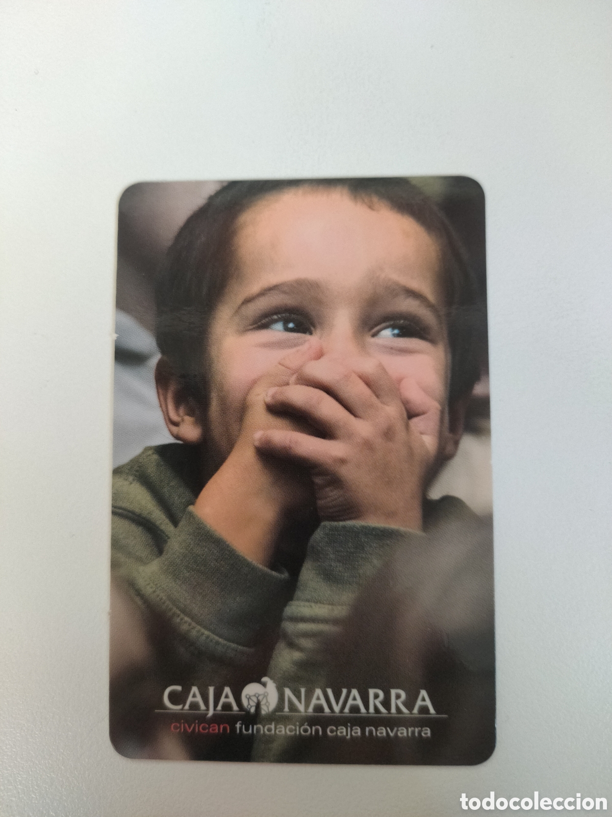 Coleccionismo Calendarios: Calendario Caja Navarra 2004