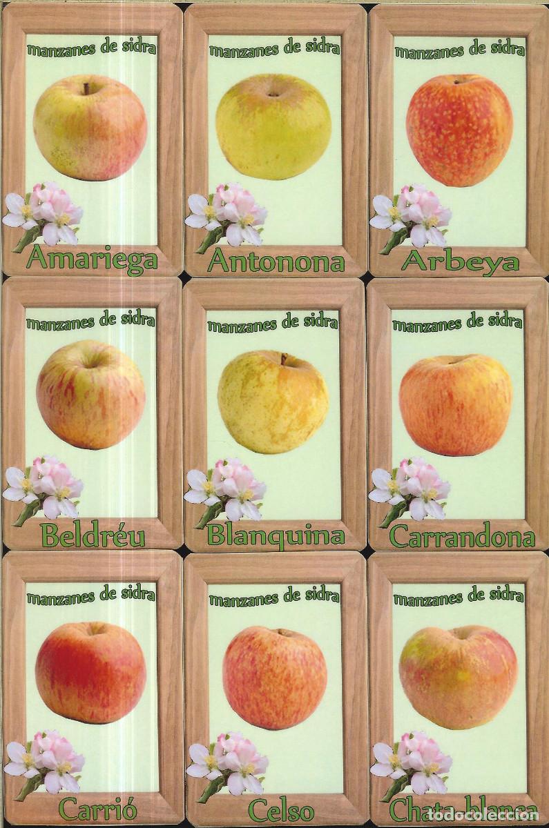 Collectionnisme Calendriers: 9 CALENDARIOS DE BOLSILLO - A&Ntilde;O 2020 - MANZANAS DE SIDRA
