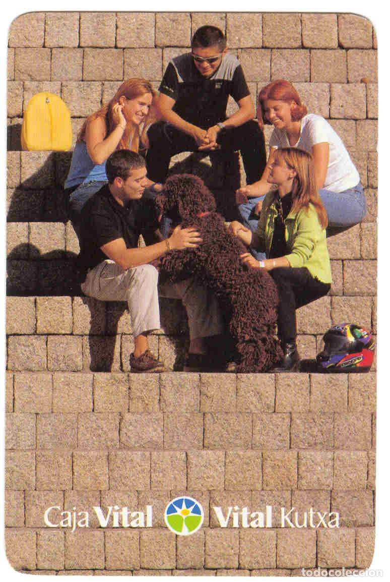 Coleccionismo Calendarios: CALENDARIO FOURNIER. CAJA VITAL. A&Ntilde;O 1998