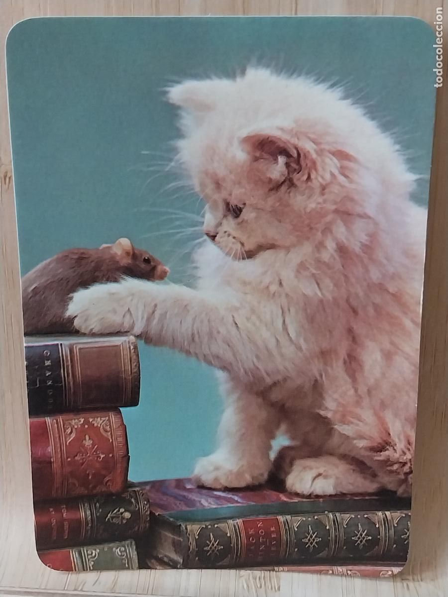 Coleccionismo Calendarios: GATO RATON A&Ntilde;O 1990 * PUBLI VIDEO CLUB GADOVI REF CLB 2021