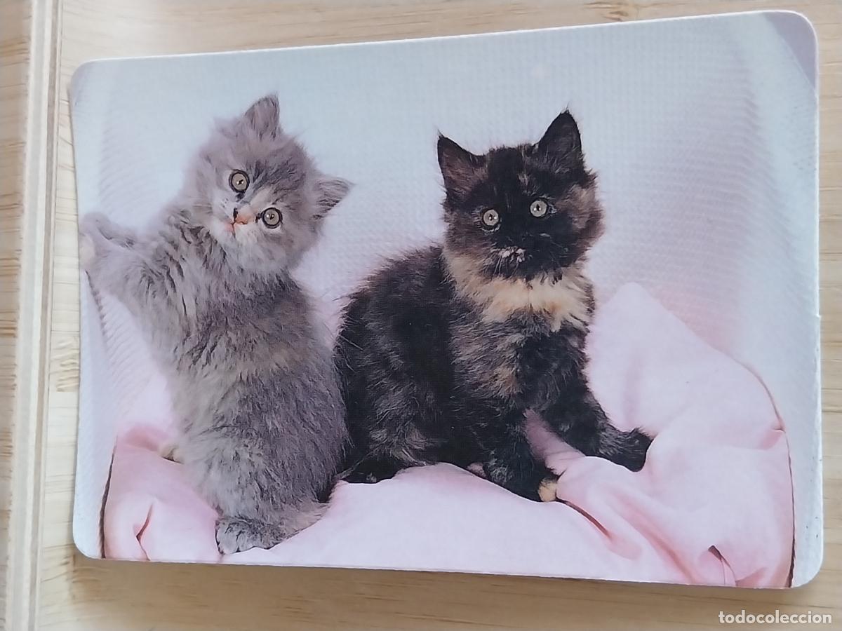 Coleccionismo Calendarios: GATOS A&Ntilde;O 1990 * PUBLI FOTOCOPIAS IMAGEN VALLECAS REF MP 1
