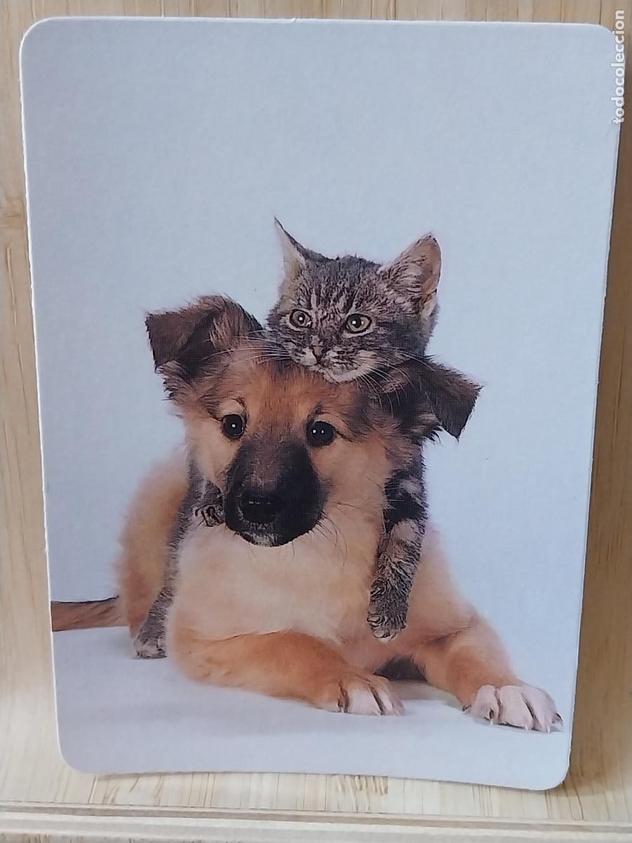 Coleccionismo Calendarios: GATO PERRO A&Ntilde;O 1990 * PUBLI FOTOCOPIAS IMAGEN VALLECAS REF MP 4