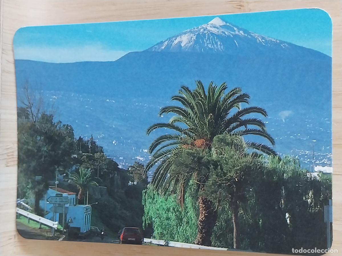Coleccionismo Calendarios: PAISAJE PALMERA A&Ntilde;O 1993 * PUBLI ASISA CAJA SALUD REF MC 95