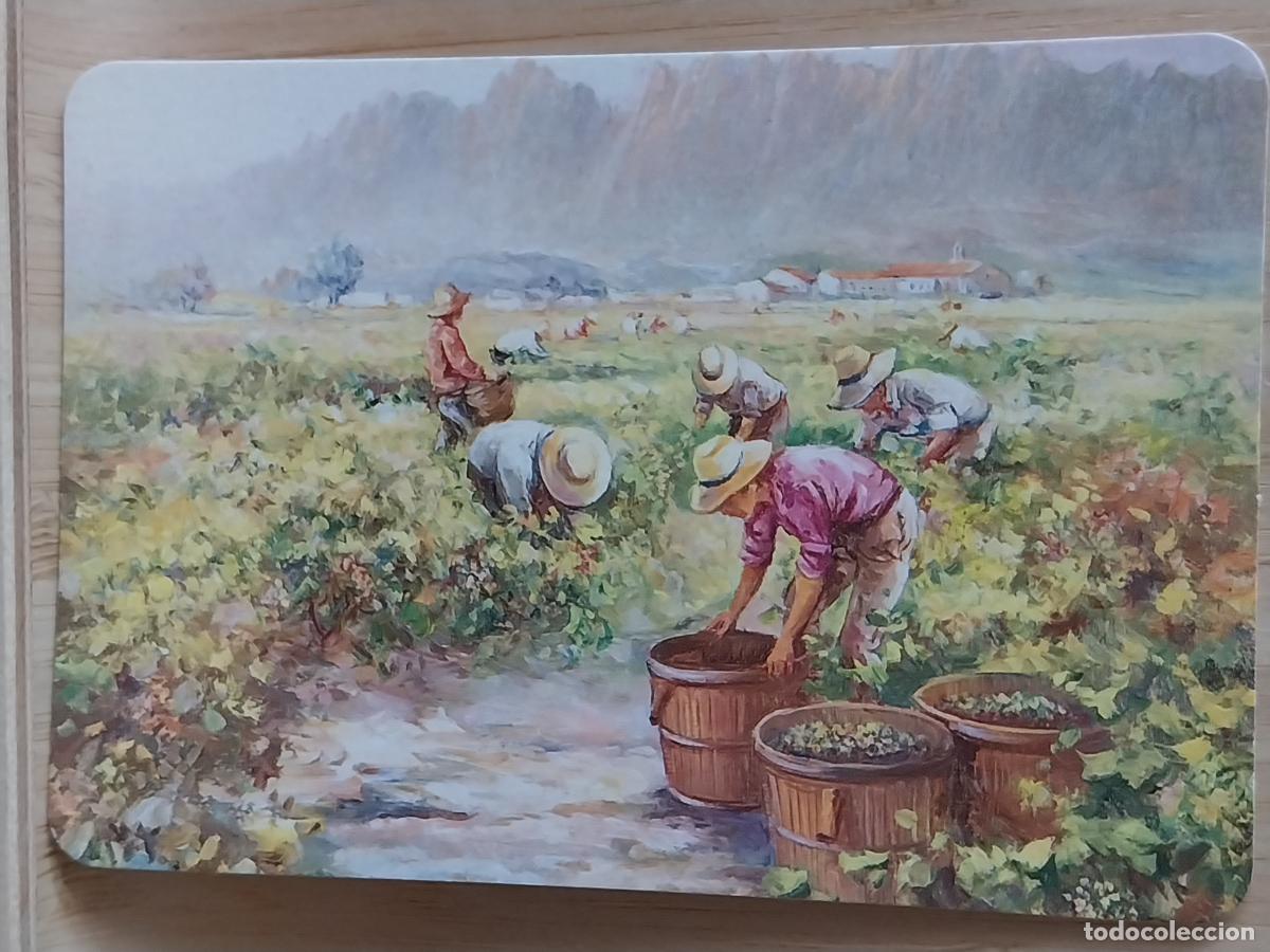 Coleccionismo Calendarios: ILUSTRACION RECOLECCION CALENDARIO A&Ntilde;O 1996 PUBLI VINOS ACEITES LAGUNA VILLACONEJOS
