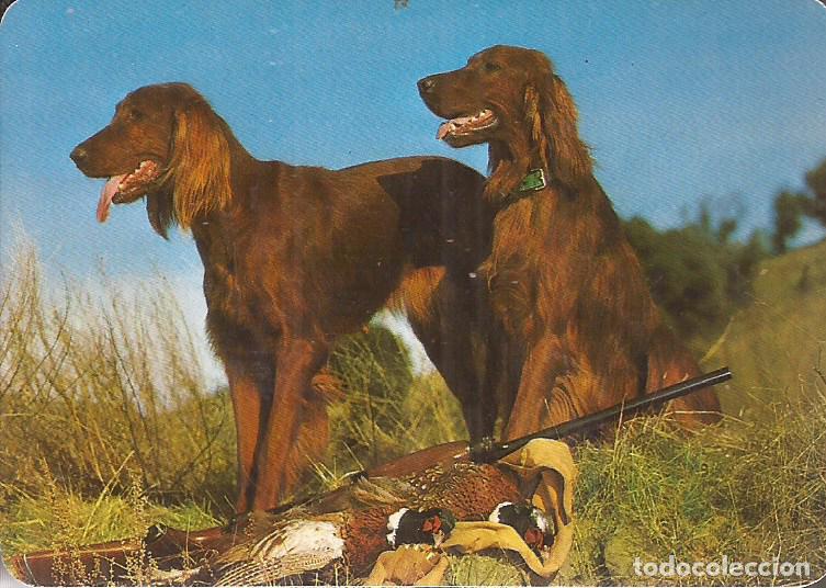 Coleccionismo Calendarios: CALENDARIO SERIE A&Ntilde;O 1996 SERIE B.O. N&ordm; 603