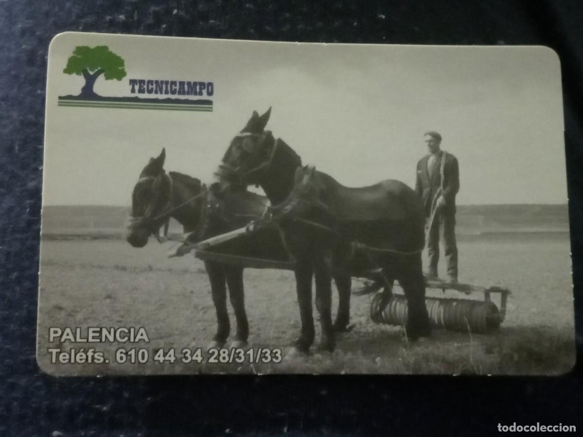 Coleccionismo Calendarios: Calendario Tecnicampo - Palencia (2010)