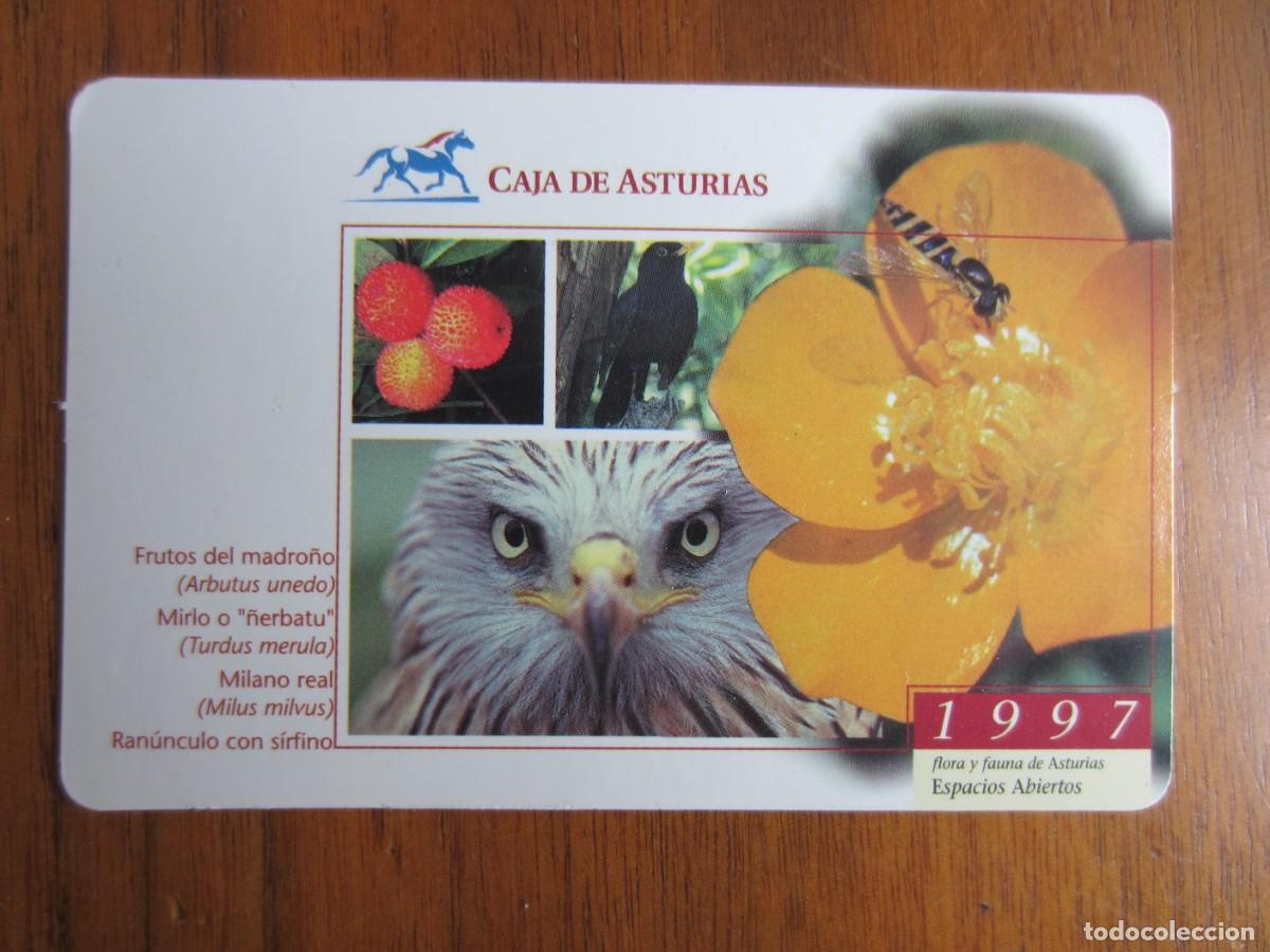 Collectionnisme Calendriers: CALENDARIO DE BOLSILLO-CAJA DE ASTURIAS-DEL 1997 VER FOTOS