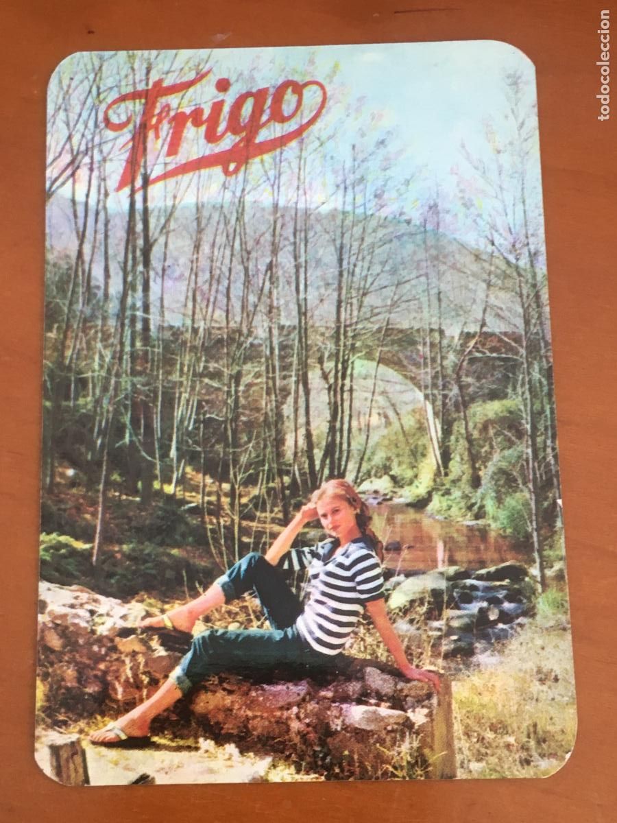Sammeln von Kalendern: frigo calendario chica 1964 perfecto estado