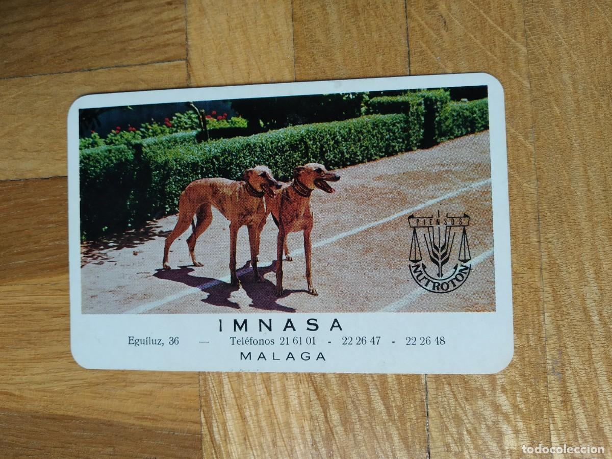 Coleccionismo Calendarios: CALENDARIO FOURNIER PIENSOS NUTROTON IMNASA MALAGA. GALGOS PERROS A&Ntilde;O 1969 VER FOTOS