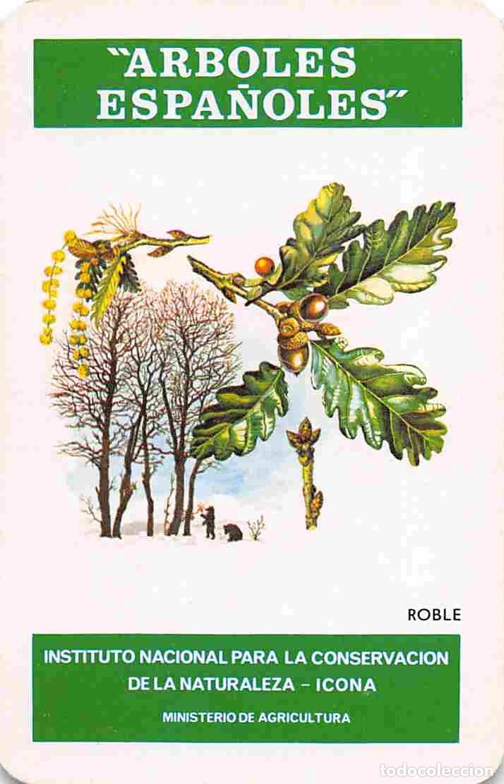 Sammeln von Kalendern: Calendario Icona, 1976 Roble Fournier