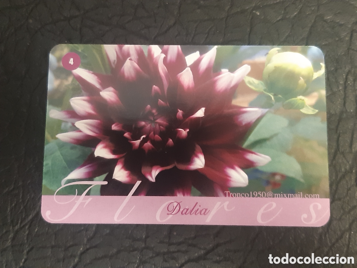 Coleccionismo Calendarios: Calendario fournier 2014 Dalia