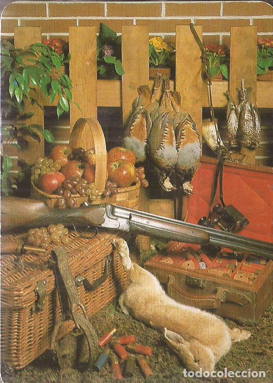 Colecionismo Calend&aacute;rios: CALENDARIO SERIE A&Ntilde;O 1995 SERIE B.O. N&ordm; 5076