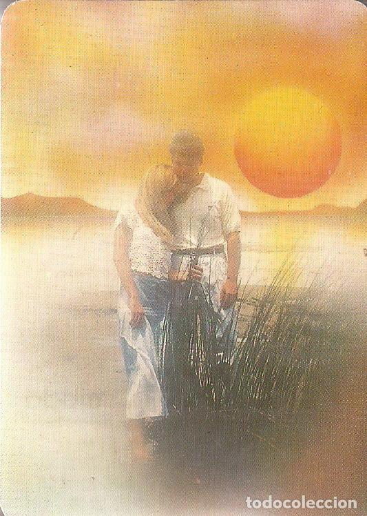 Coleccionismo Calendarios: CALENDARIO SERIE A&Ntilde;O 1995 SERIE B.O. N&ordm; 5138