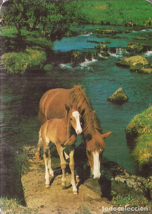 Coleccionismo Calendarios: CALENDARIO SERIE A&Ntilde;O 1995 SERIE B.O. N&ordm; 5111