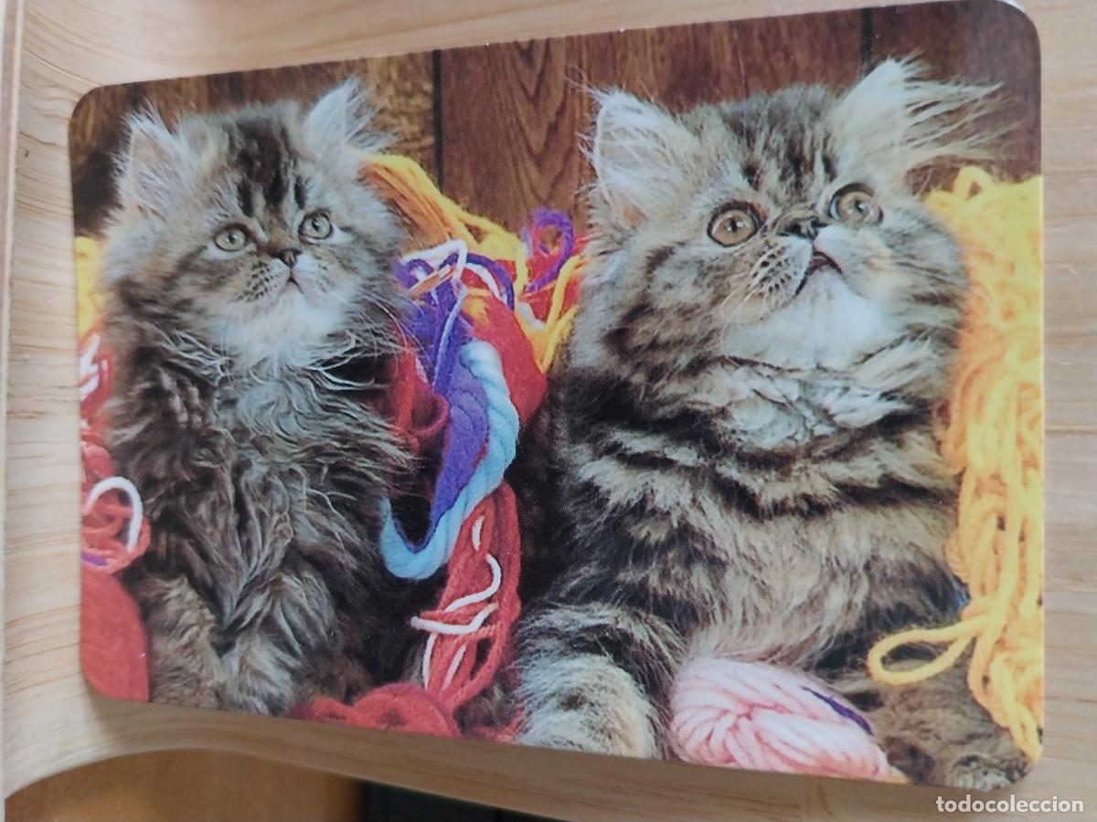 Coleccionismo Calendarios: GATITOS CALENDARIO A&Ntilde;O 2001 PUBLICIDAD MESON CHUVIECO MORATALAZ REF EGC 68
