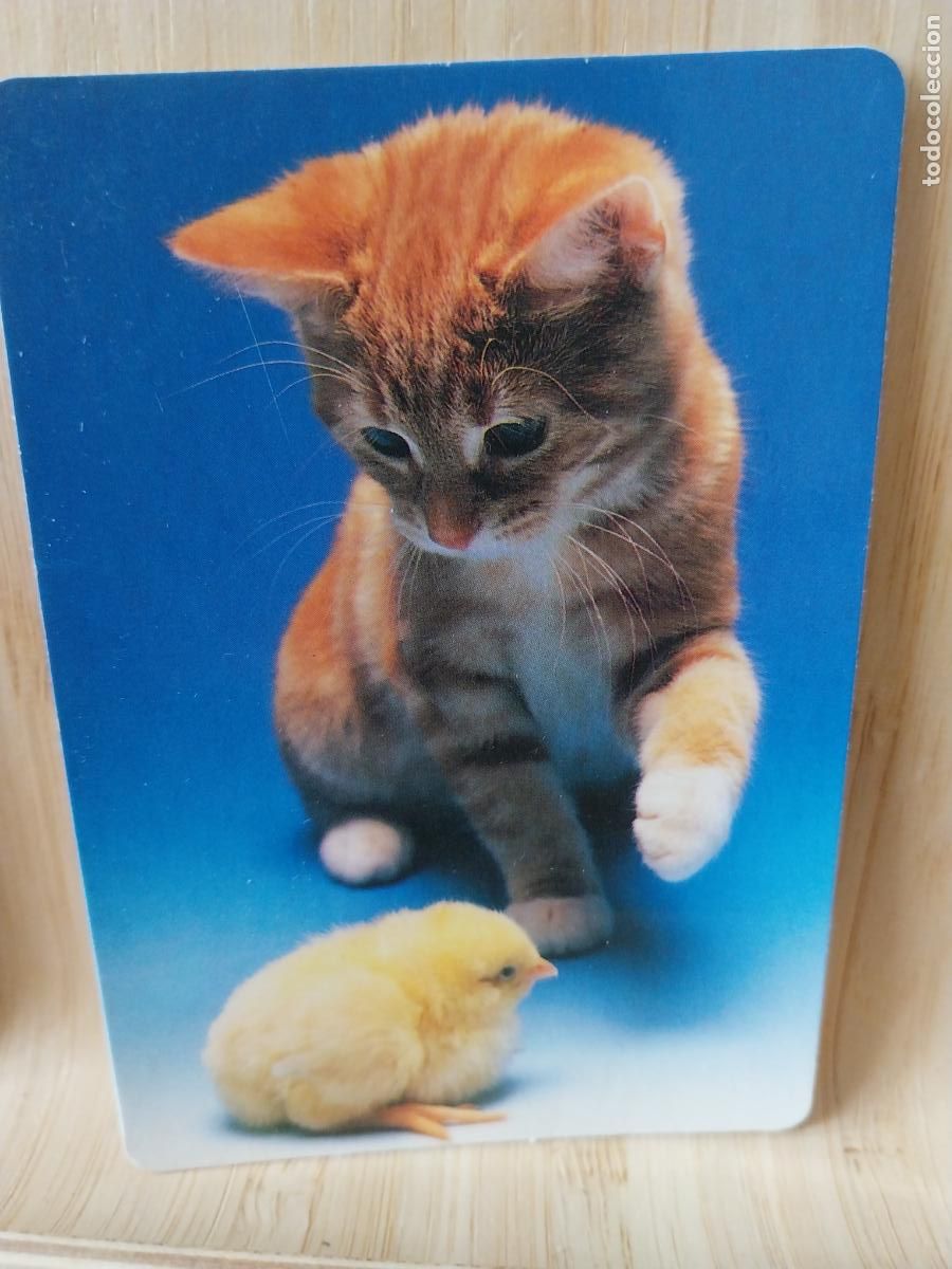 Coleccionismo Calendarios: GATITO RUBIO CALENDARIO A&Ntilde;O 1991 PUBLICIDAD CAFETERIA ALFREDO&acute;S VALLECAS REF WCB 213