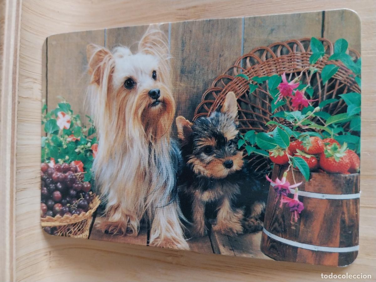 Coleccionismo Calendarios: PERRITOS CALENDARIO A&Ntilde;O 2001 PUBLICIDAD NOBERPLAST REF L 142