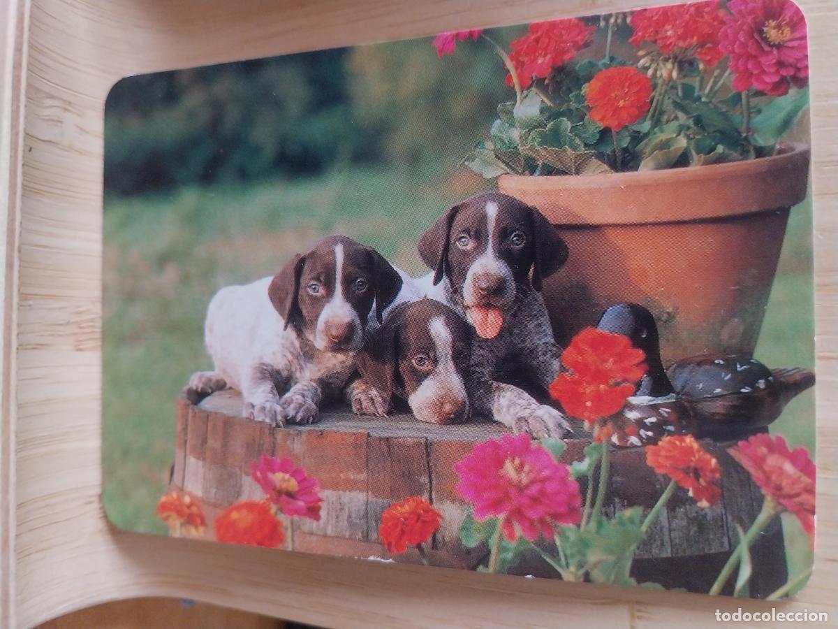 Coleccionismo Calendarios: PERRITOS CALENDARIO A&Ntilde;O 2001 PUBLICIDAD RESTAURANTE JOVY JOAQUINA SANTANDER REF BO 579
