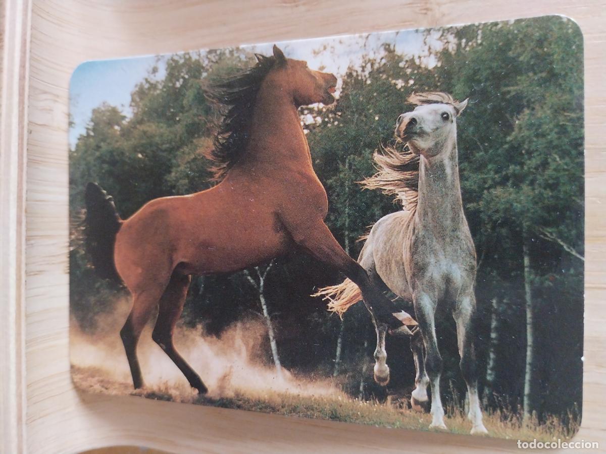 Coleccionismo Calendarios: CABALLOS CALENDARIO A&Ntilde;O 2001 PUBLICIDAD PAMAY REF BO 572