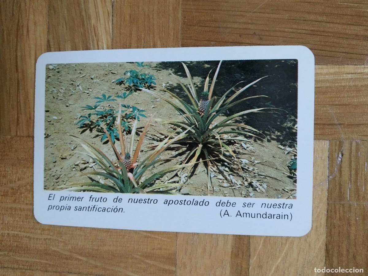 Sammeln von Kalendern: CALENDARIO FOURNIER A. AMUNDARAIN A&Ntilde;O 1984 VER FOTOS NUEVO