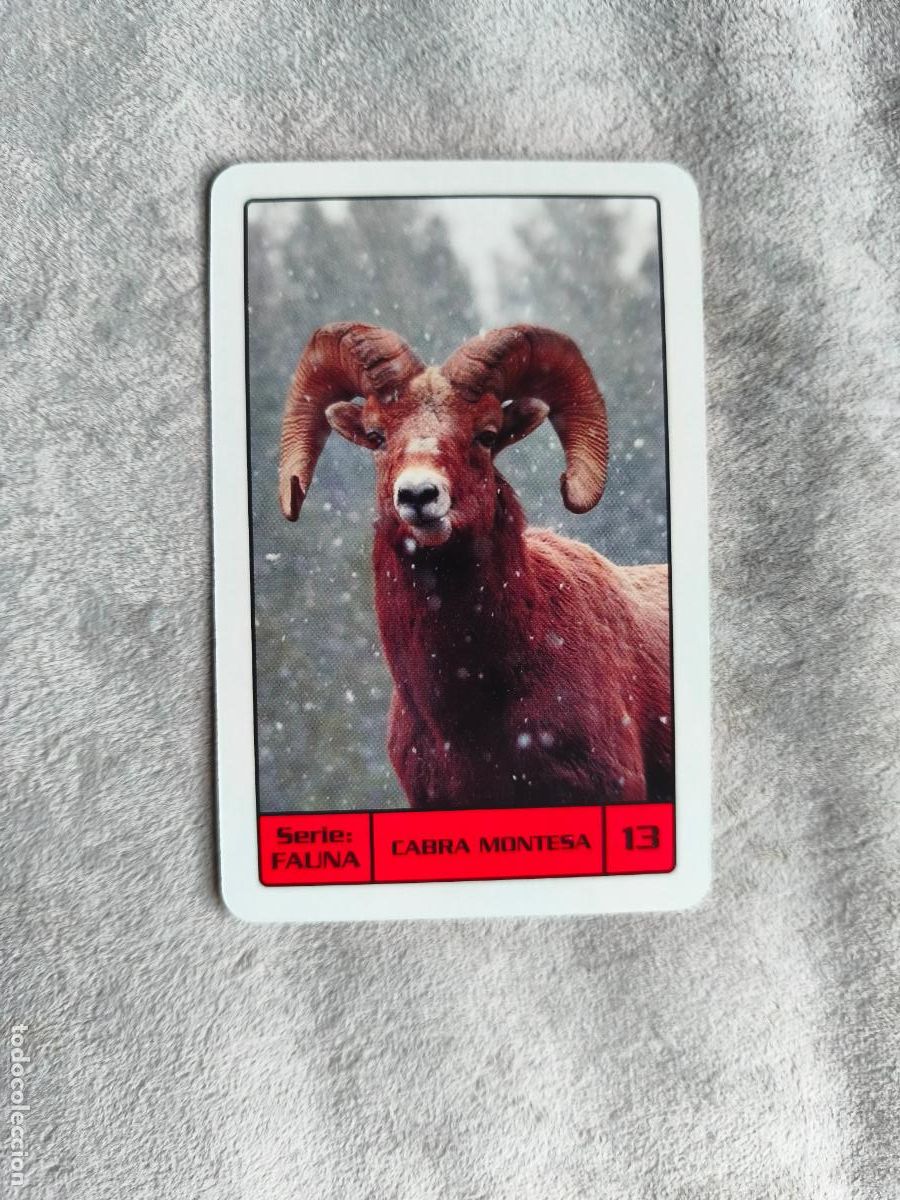 Coleccionismo Calendarios: CALENDARIO FOURNIER 2014 CABRA MONTESA - SERIE FAUNA - 13