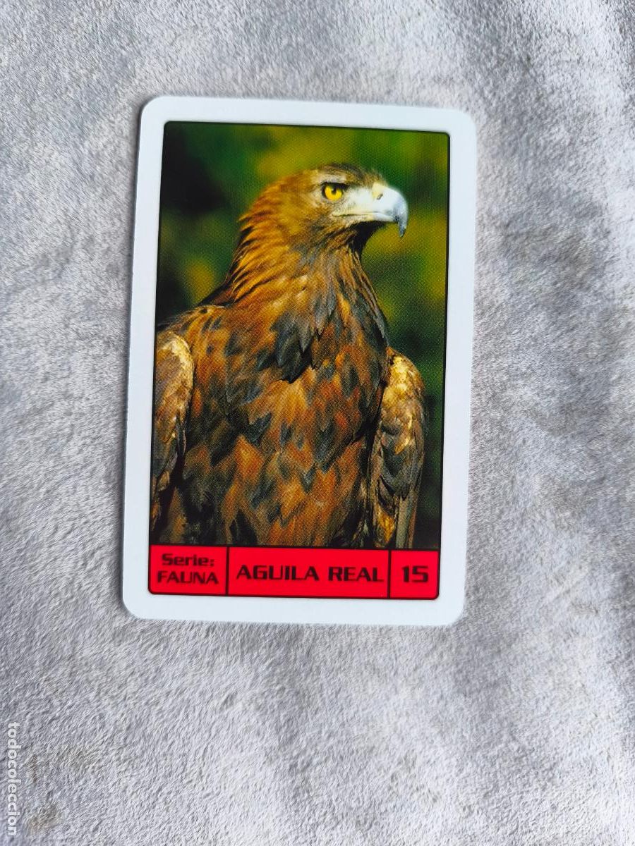Coleccionismo Calendarios: CALENDARIO FOURNIER 2014 AGUILA REAL - SERIE FAUNA - 15
