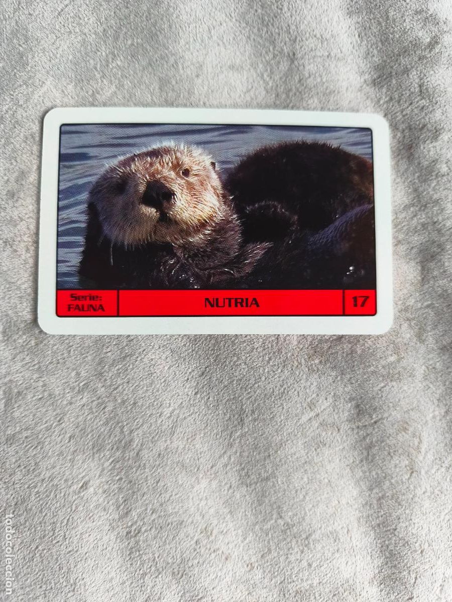 Coleccionismo Calendarios: CALENDARIO FOURNIER 2014 NUTRIA - SERIE FAUNA - 17