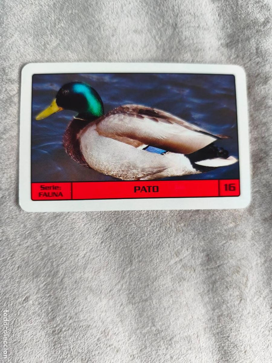 Coleccionismo Calendarios: CALENDARIO FOURNIER 2014 PATO - SERIE FAUNA - 16