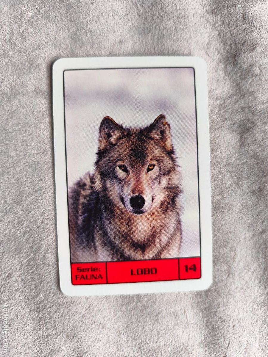 Coleccionismo Calendarios: CALENDARIO FOURNIER 2014 LOBO - SERIE FAUNA - 14