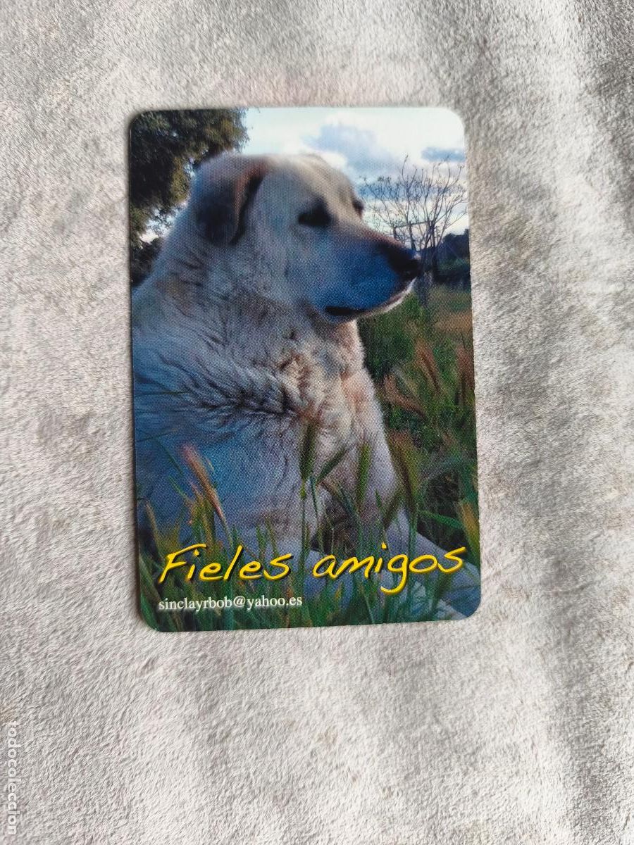 Coleccionismo Calendarios: CALENDARIO FOURNIER 2014 FIELES AMIGOS - PERROS