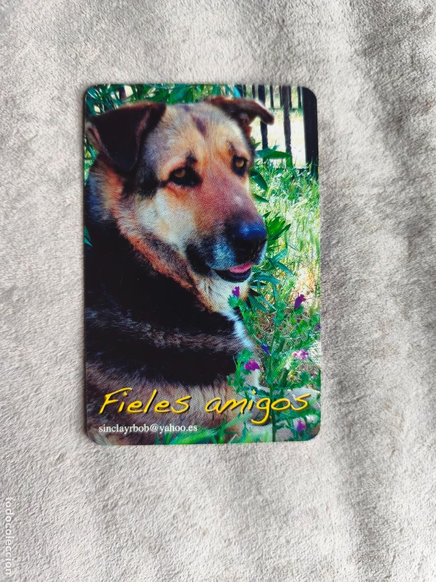Coleccionismo Calendarios: CALENDARIO FOURNIER 2014 FIELES AMIGOS - PERROS