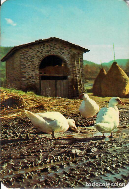 Coleccionismo Calendarios: CALENDARIO DE SERIE - A&Ntilde;O 1970 - GRAY - 204 - Publicidad de Gij&oacute;n
