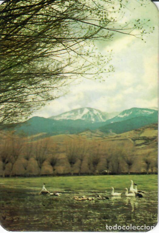 Coleccionismo Calendarios: CALENDARIO DE SERIE - A&Ntilde;O 1970 - GRAY - 206