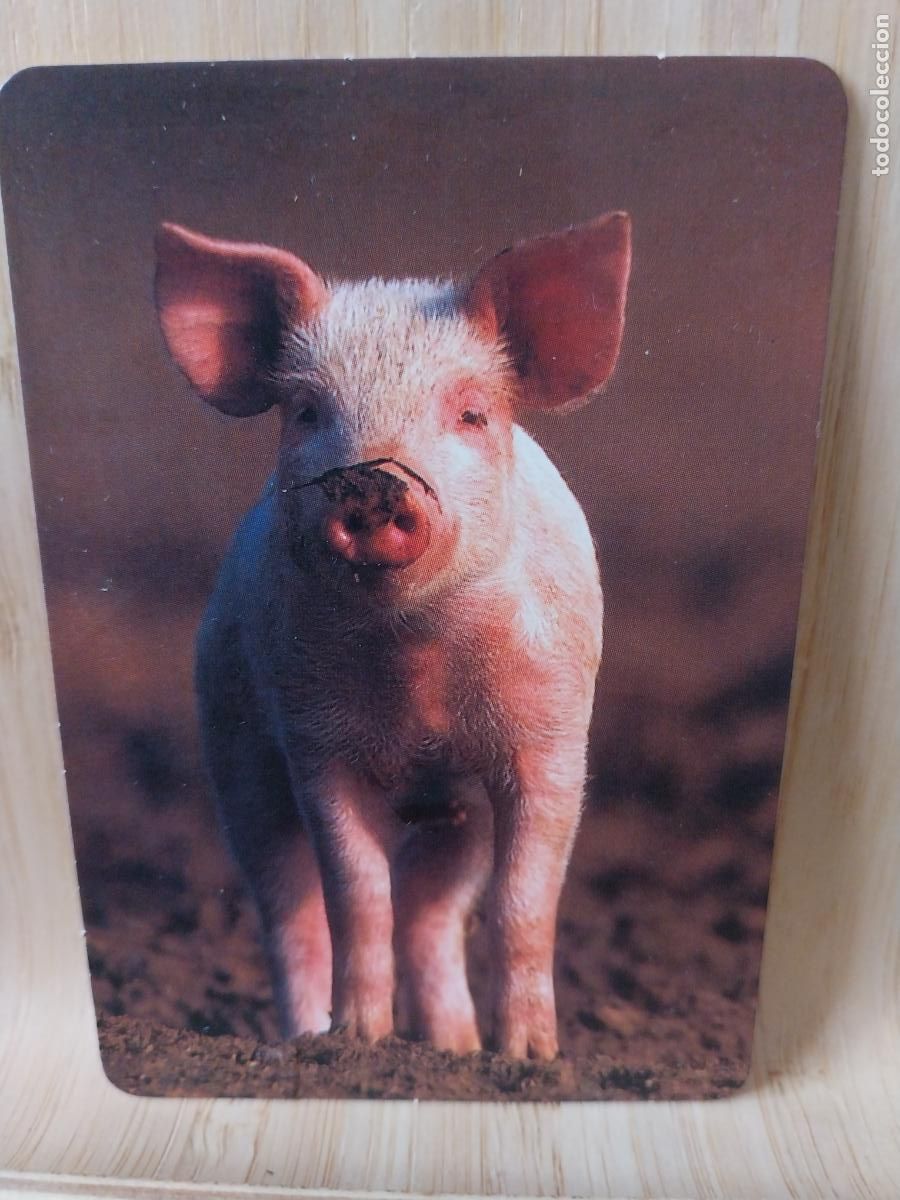 Coleccionismo Calendarios: CERDITO CALENDARIO A&Ntilde;O 2002 PUBLICIDAD TRANSPORTES KIKO REF RR 47