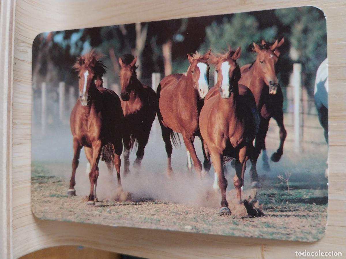 Coleccionismo Calendarios: CABALLOS GALOPE CALENDARIO A&Ntilde;O 2002 PUBLICIDAD BAR PACHANGA MADRID REF EGC 65