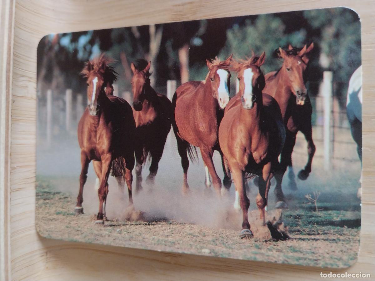 Coleccionismo Calendarios: CABALLOS GALOPE CALENDARIO A&Ntilde;O 2002 PUBLICIDAD BAR PACHANGA MADRID REF EGC 65 *