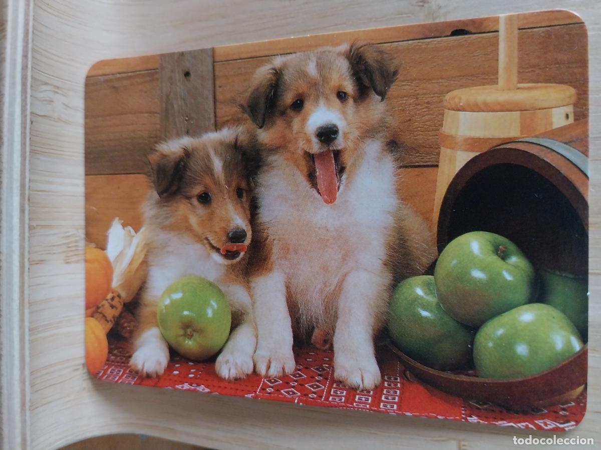 Coleccionismo Calendarios: CACHORROS MANZANAS VERDES CALENDARIO A&Ntilde;O 2002 PUBLICIDAD BAR PUEN PALACIO VILLATORO AVILA REF BO 574