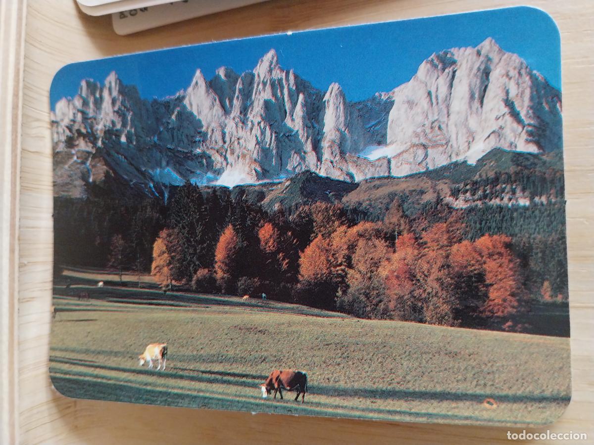 Coleccionismo Calendarios: NATURALEZA VACAS MONTA&Ntilde;AS CALENDARIO A&Ntilde;O 1990 PUBLICIDAD LAVADO ESTATUTO REF CBN 336 ***