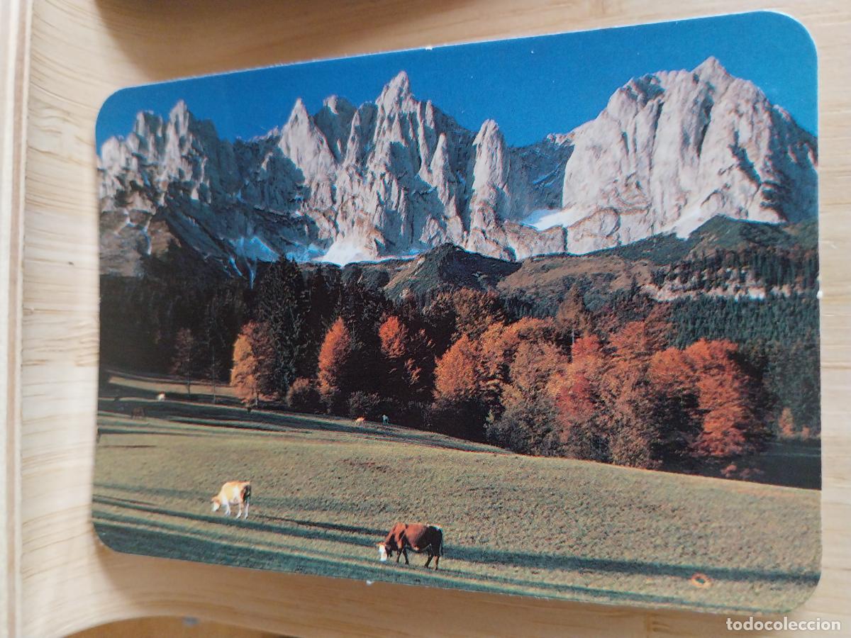 Coleccionismo Calendarios: NATURALEZA VACAS MONTA&Ntilde;AS CALENDARIO A&Ntilde;O 1990 PUBLICIDAD LAVADO ESTATUTO REF CBN 336 **