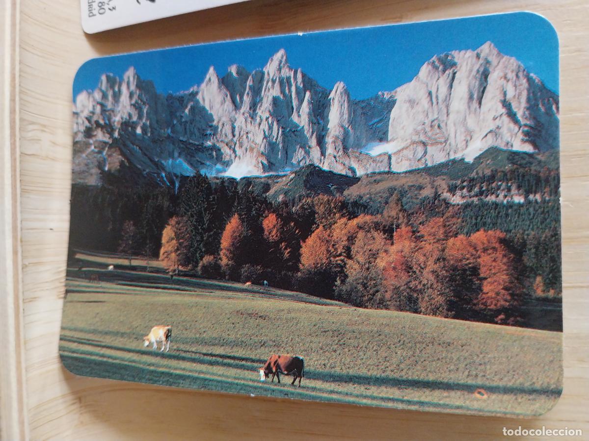 Coleccionismo Calendarios: NATURALEZA VACAS MONTA&Ntilde;AS CALENDARIO A&Ntilde;O 1990 PUBLICIDAD LAVADO ESTATUTO REF CBN 336 *