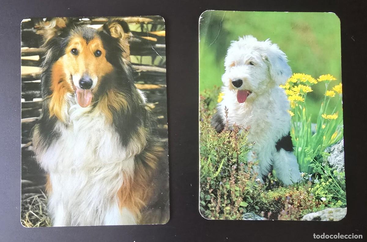 Collectionnisme Calendriers: 2 CALENDARIOS DE BOLSILLO - PERROS