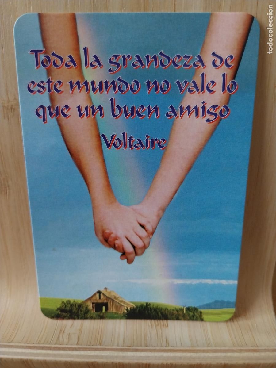 Coleccionismo Calendarios: AMIGO VOLTAIRE CALENDARIO A&Ntilde;O 2001 PUBLICIDAD DECORACIONES DONOSTIARRA REF EGC 139